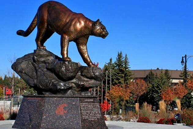 Washington State University