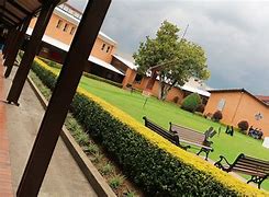Colegio San Viator Bilingüe Internacional Colegio San Viator Bilingüe Internacional